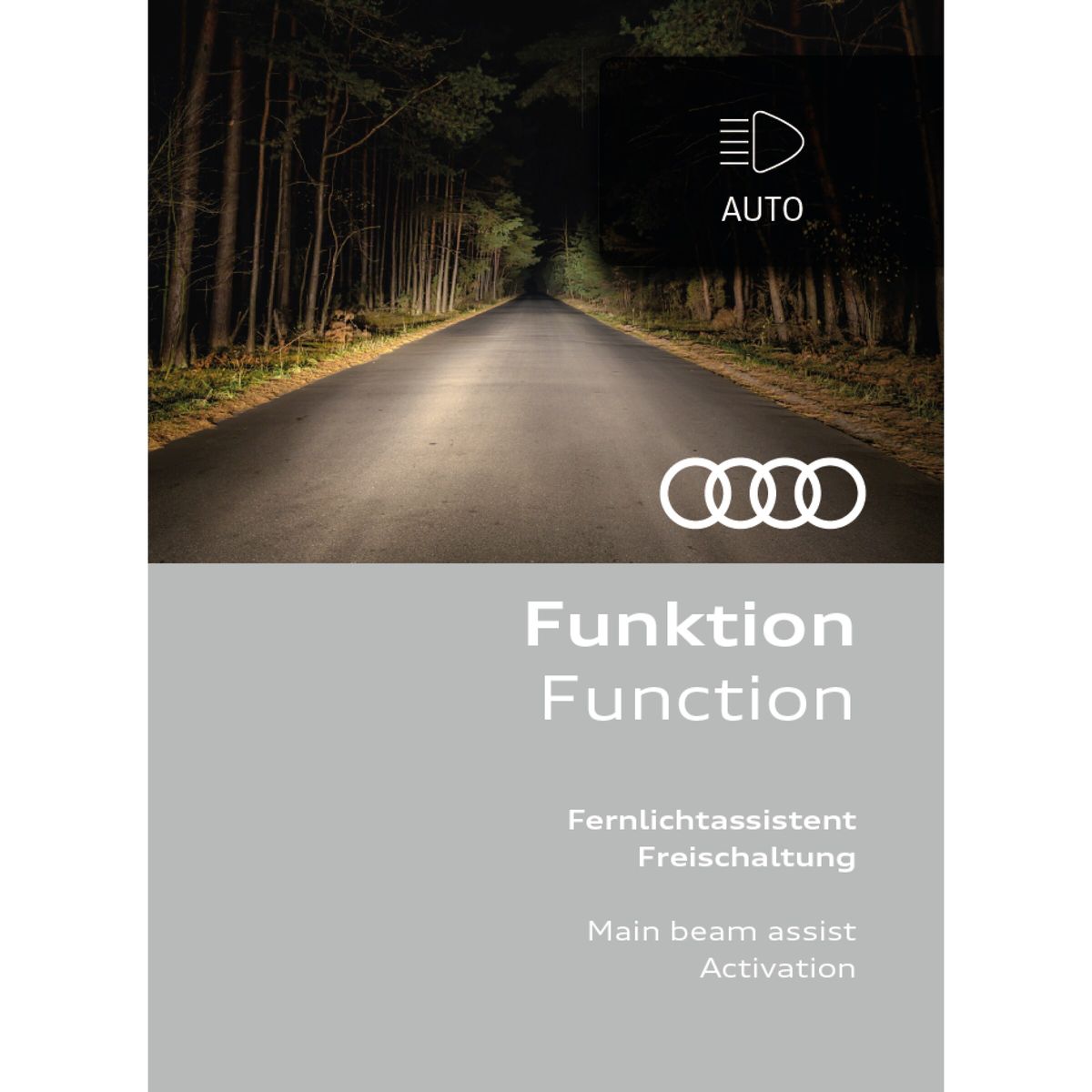 Audi Original Freischaltung Fernlichtassistent